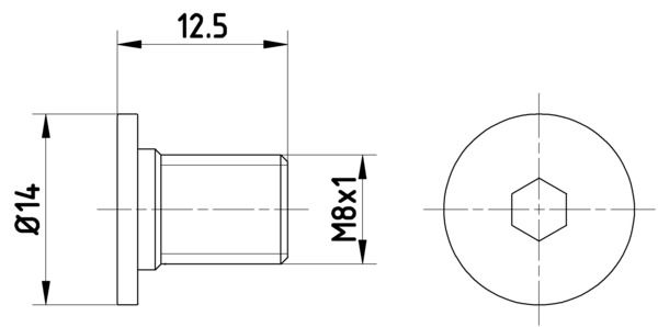 HELLA PAGID Болт, диск тормозного механизма 8DZ 355 209-021